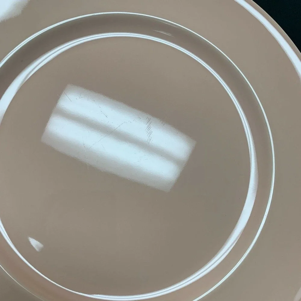 Wedgwood The Sea Glass Collection Chop Charger Dinner Plates Pink Peach Lof of 2